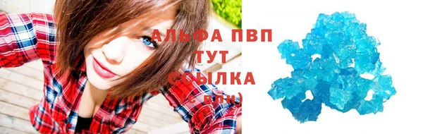 прущие грибы Нязепетровск