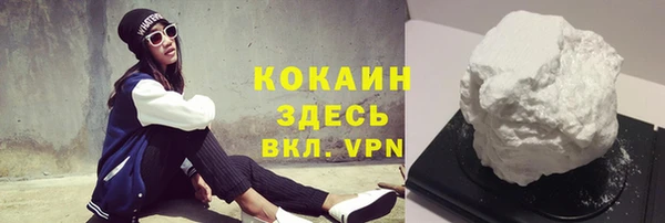 дмт Осинники