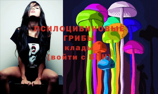ECSTASY Няндома