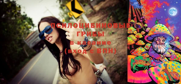 твердый Осташков