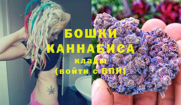 твердый Осташков