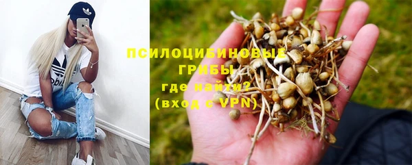 прущие грибы Нязепетровск
