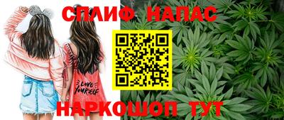 сатива Заволжье