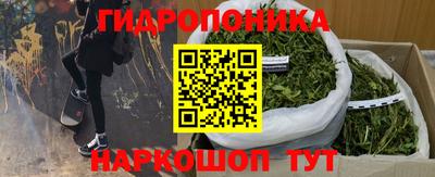 сатива Заволжье