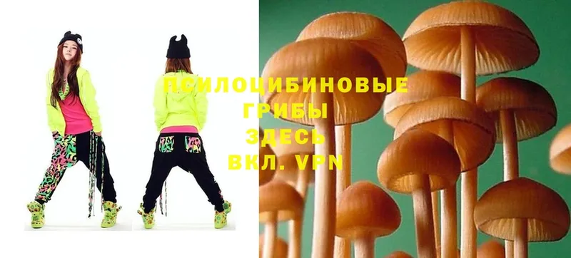 Псилоцибиновые грибы MAGIC MUSHROOMS  Североморск 