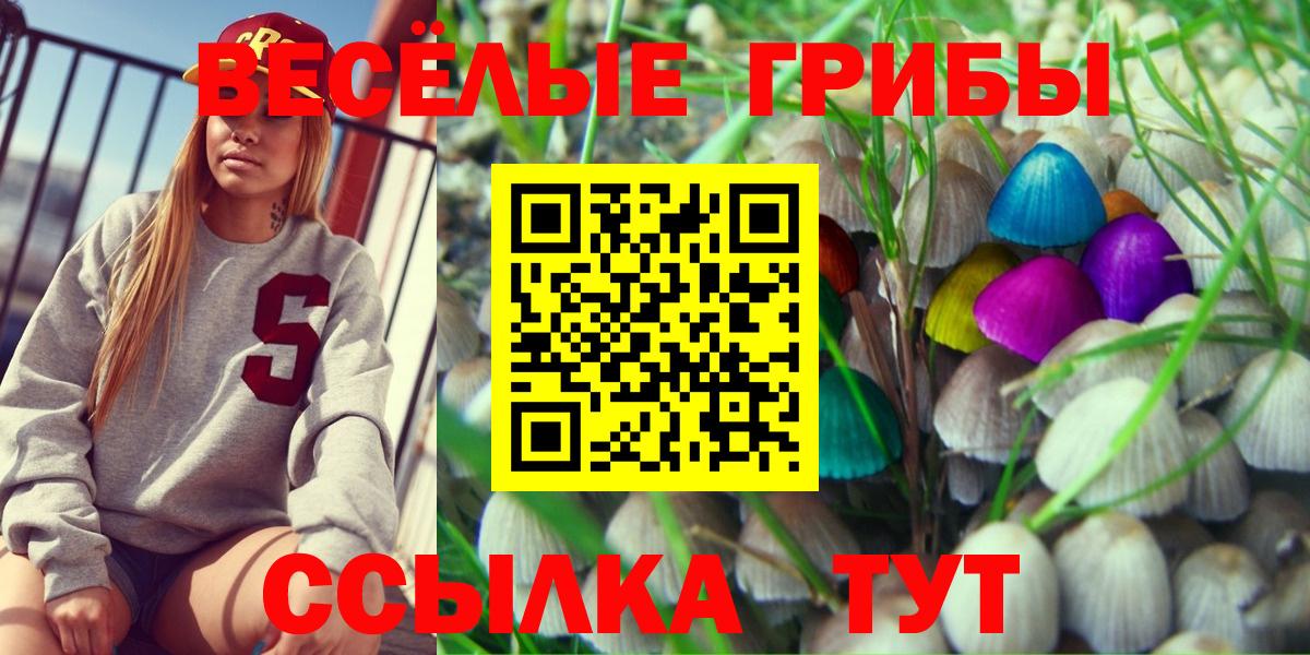 Меф Североморск