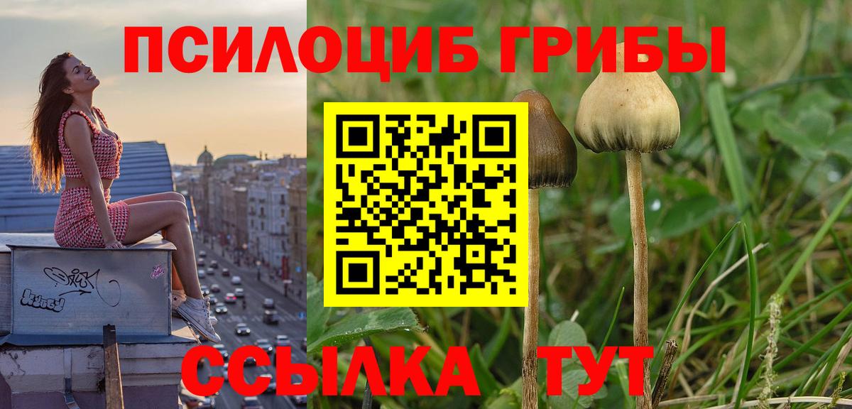 НБОМе  КОКАИН  LSD-25  Североморск  ГАШИШ  Каннабис  ЭКСТАЗИ  Меф МЯУ МЯУ  