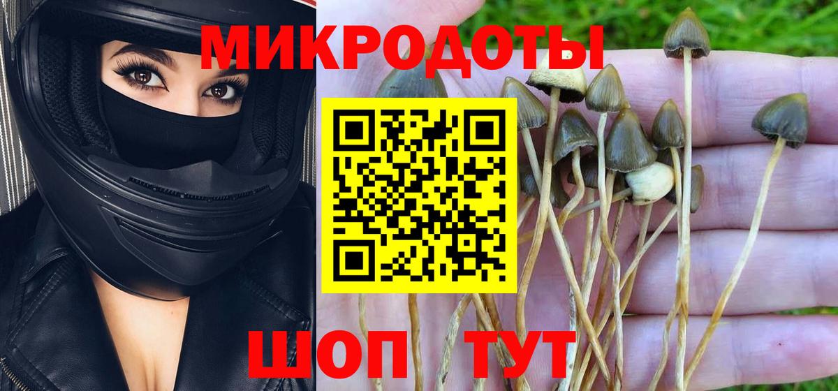 как найти   Галлюциногенные грибы Magic Shrooms  Вход с VPN  Североморск 