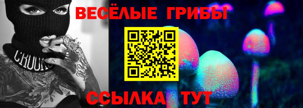 Псилоцибиновые грибы Psilocybe Североморск