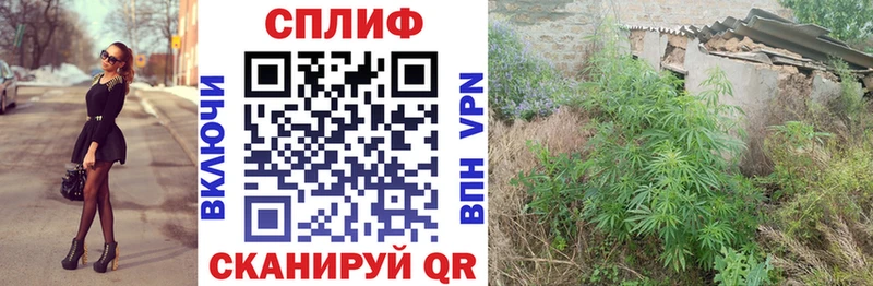 продажа наркотиков  Североморск  МАРИХУАНА тримм 